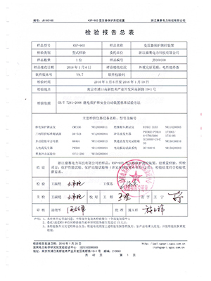 綜保檢驗報告總結4